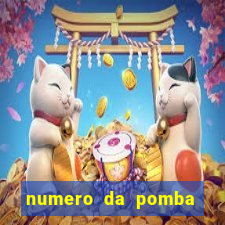 numero da pomba jogo do bicho